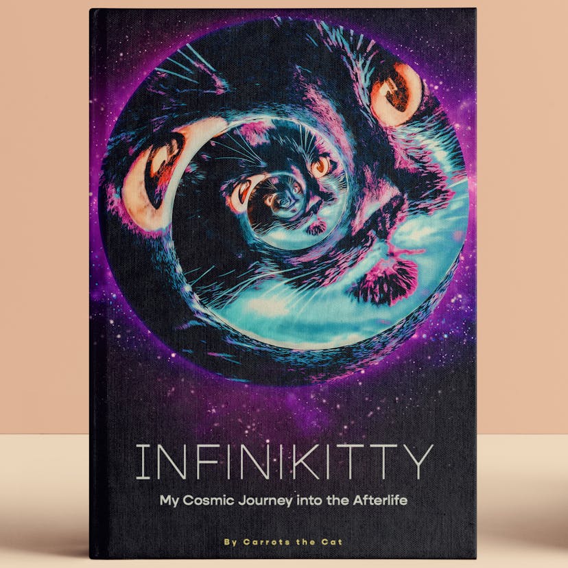 Infinikitty book cover
